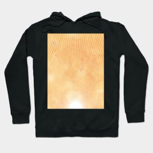 Abstract sun, orange sky Hoodie